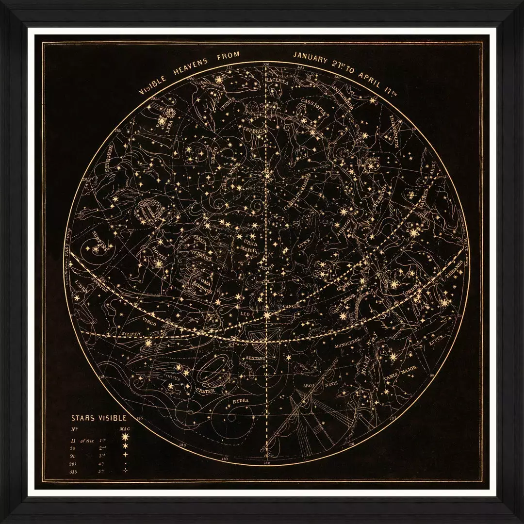 The Design Yard New Visible Heavens Framed Art 3 The Design Yard New Visible Heavens Framed Art