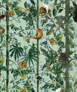 Mind The Gap Wildlife Of Papua Dark Wallpaper Wallpaper & Paint