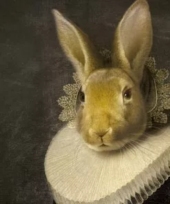 Ibride Zhao Collector Portrait Large Homeware