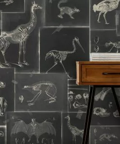 Mind The Gap Zooarchaeology Anthracite Wallpaper Wallpaper & Paint