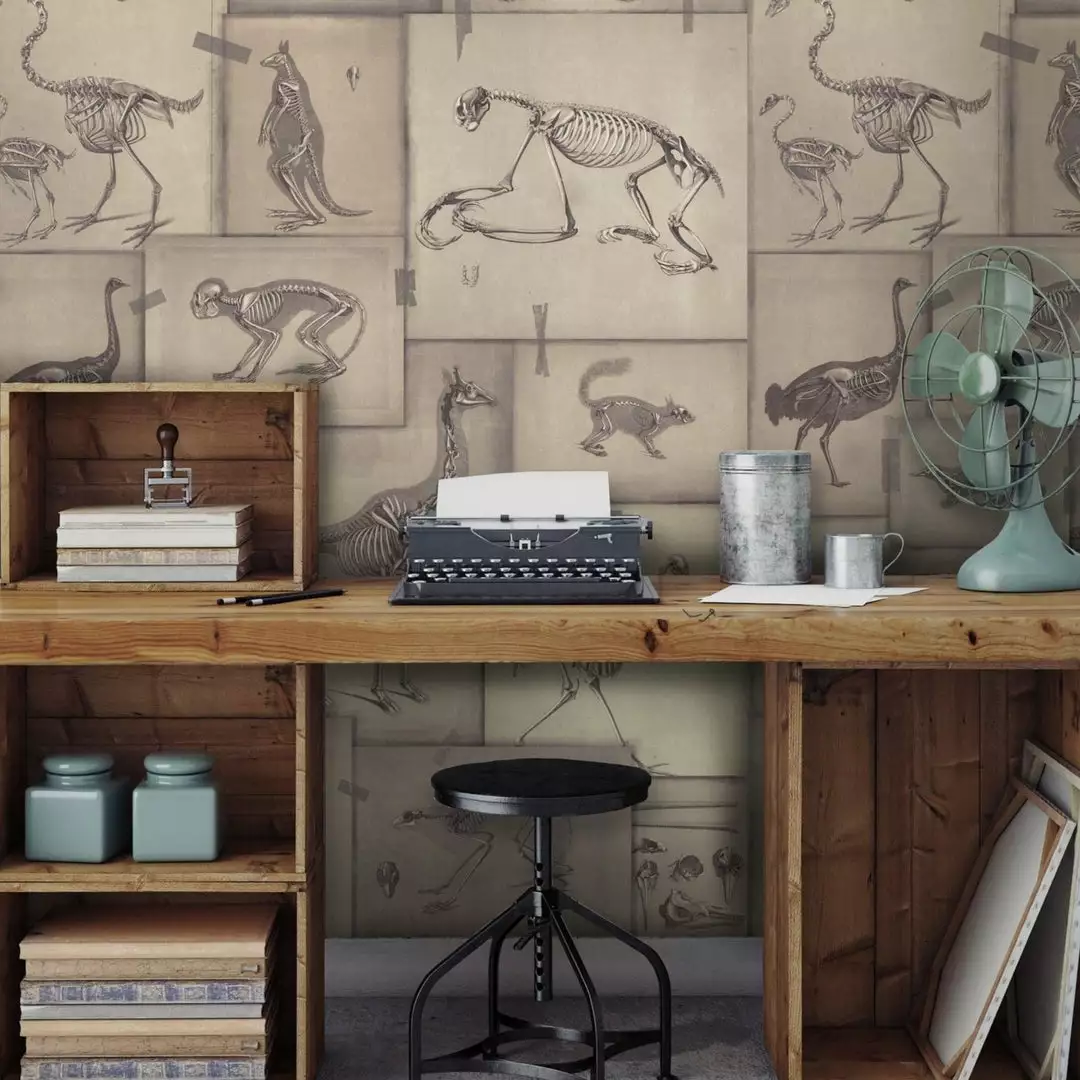 Mind The Gap Zooarchaeology Wallpaper Wallpaper & Paint 4 Mind The Gap Zooarchaeology Wallpaper Wallpaper & Paint