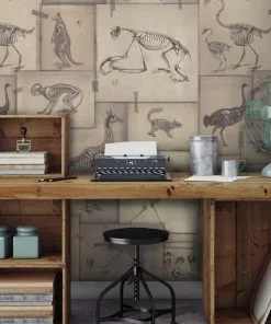 Mind The Gap Zooarchaeology Anthracite Wallpaper Wallpaper & Paint